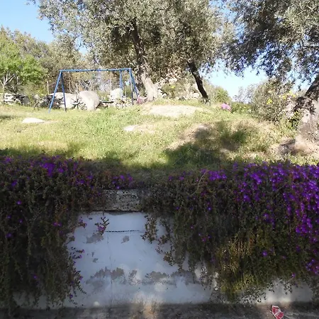 L'oleandro Landhaus Oliena