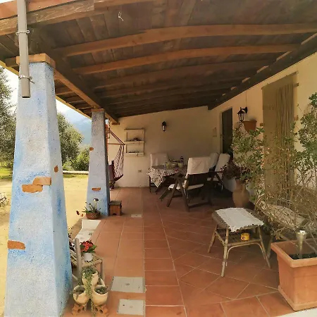 L'oleandro Oliena
