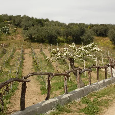 L'oleandro