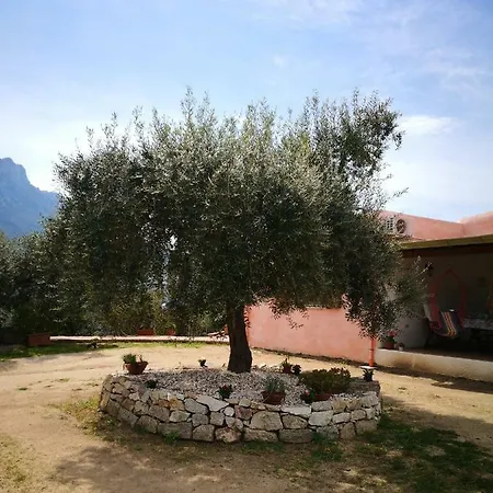 Country house L'oleandro *