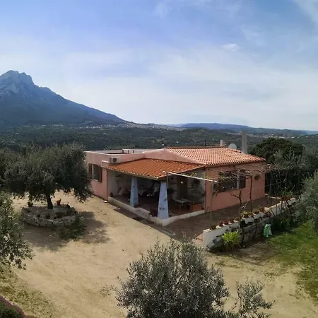 L'oleandro Country house Oliena