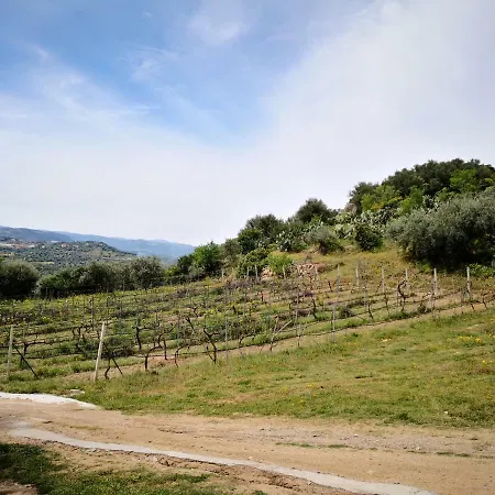 L'oleandro *