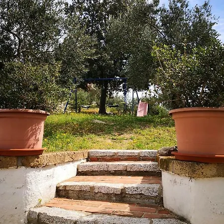 L'oleandro