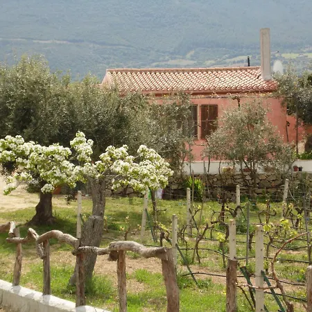L'oleandro *