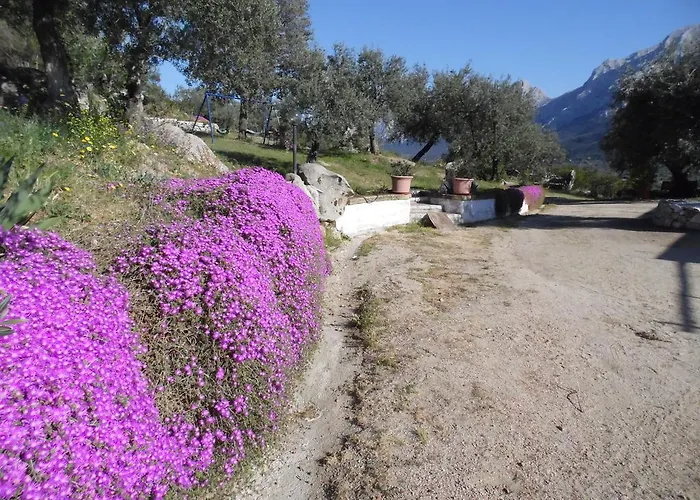 L'oleandro Kır Evi *