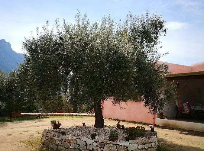 Kır Evi L'oleandro *