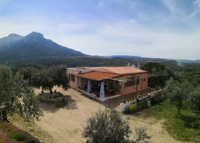 L'oleandro Kır Evi Oliena