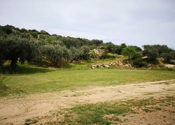 Kır Evi L'oleandro Oliena