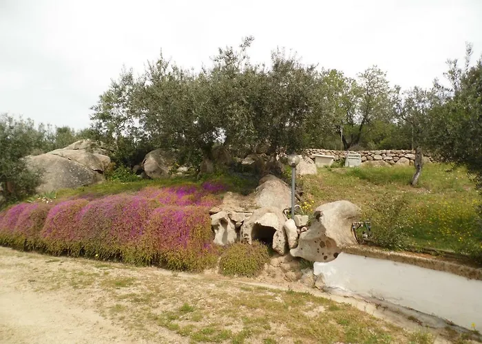 Kır Evi L'oleandro *