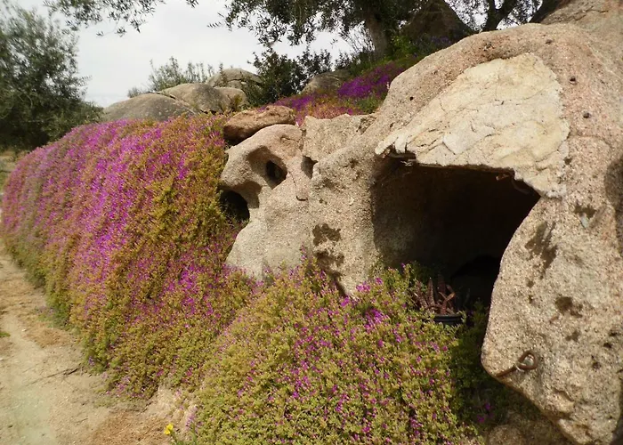 L'oleandro Kır Evi *